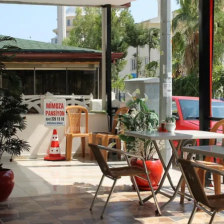 Mimoza Accommodatie bij particulieren Antalya