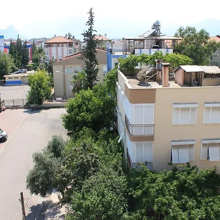 Mimoza Antalya